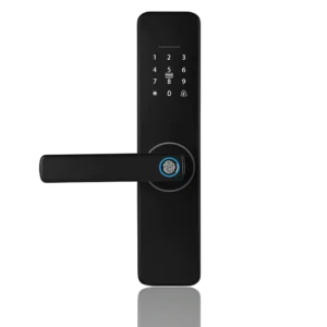 Cerradura inteligente 1.0